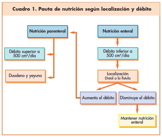 Pauta de nutrición según localización y débito