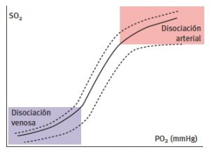 Curva de disociación de la hemoglobina